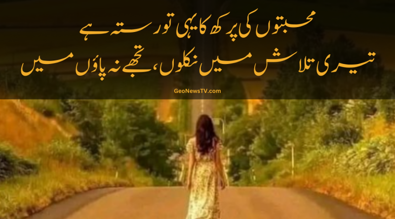 Love poetry in urdu sad 2 line