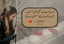 Sad poetry in urdu for boyfriend